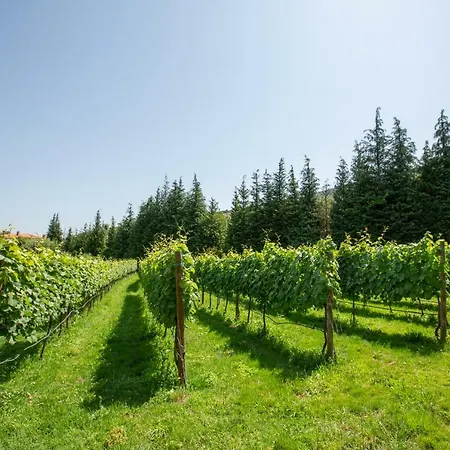 Casa Do Sobrado Vila Real