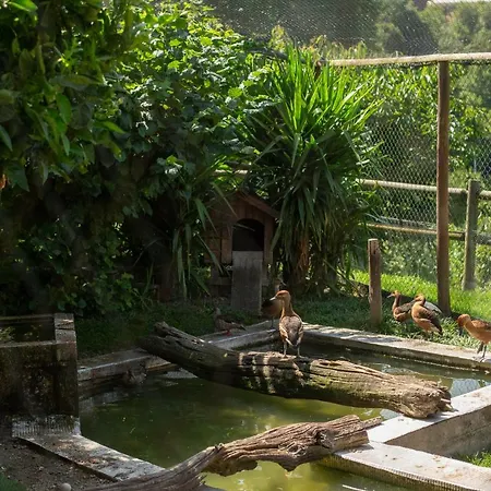 Casa Do Sobrado فيلا ريال