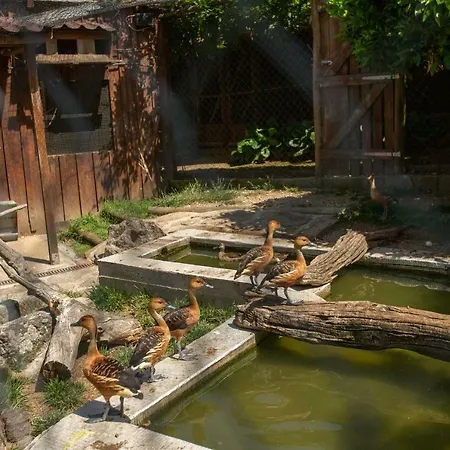 Maison d'hôtes Casa Do Sobrado Vila Real