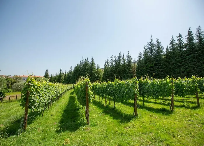 Casa Do Sobrado Vila Real
