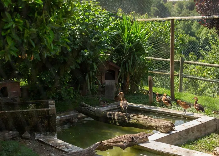 Casa Do Sobrado 维拉·雷阿尔