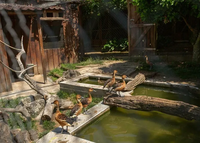 Casa de hóspedes Casa Do Sobrado Vila Real